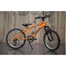 OLMO SENTIERO 20 USATA
