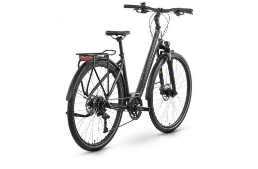 RAYMON ZAYN PRO WAVE