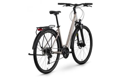 RAYMON ZAYN COMP WAVE